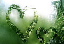 鲸鱼体育官网：收获四连胜！亚冬会男子冰壶循环赛中国队战胜泰国队央视体育.