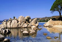 [中超]巴尔加斯长驱直入 挑射破门再下一城.